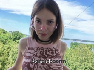 Sandieboerm