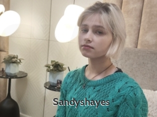 Sandyshayes