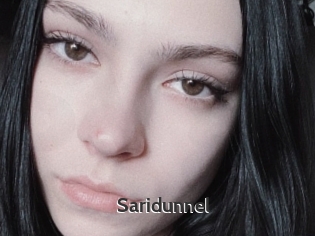 Saridunnel