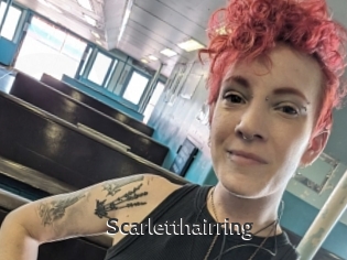 Scarletthairring