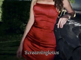 Screaminglotus