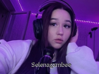 Selenagambee