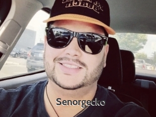 Senorgecko