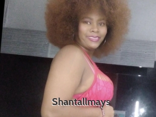 Shantallmays