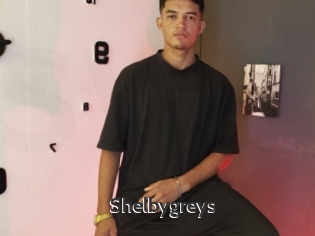 Shelbygreys