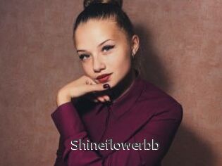 Shineflowerbb