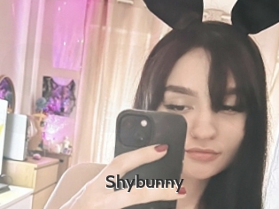 Shybunny