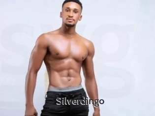Silverdingo
