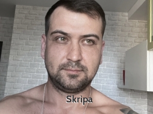 Skripa