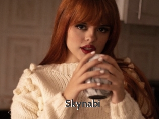 Skynabi