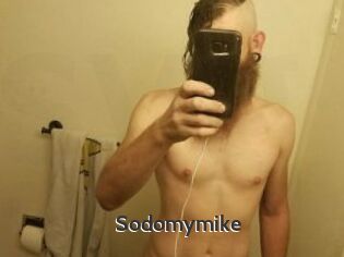 Sodomymike