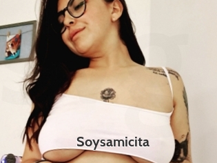 Soysamicita