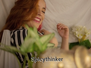 Spicythinker