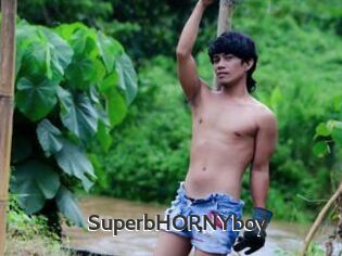 SuperbHORNYboy