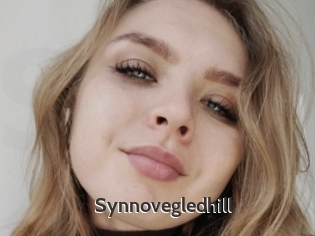 Synnovegledhill