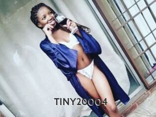TINY20004