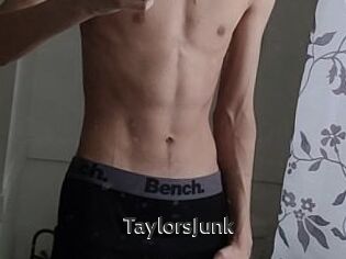 TaylorsJunk