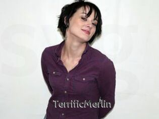 TerrificMerlin
