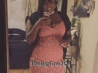 TheBigFine304