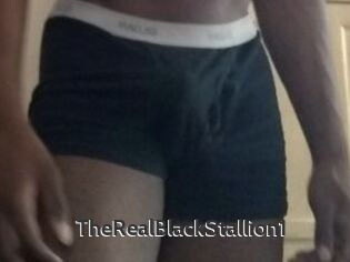 TheRealBlackStallion1