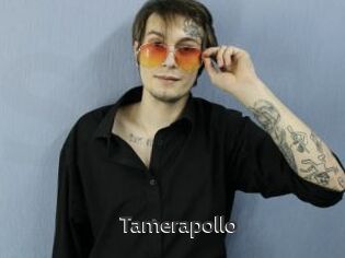 Tamerapollo