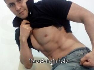 Tarodvirginhole