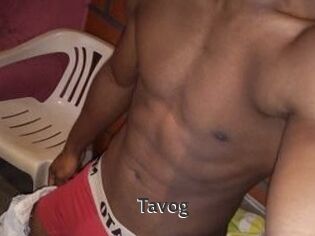 Tavog