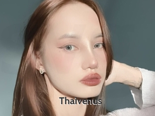 Thaivenus