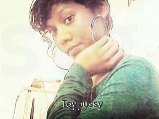 Toypussy