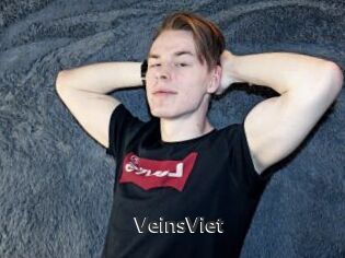 VeinsViet