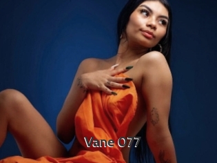 Vane_077