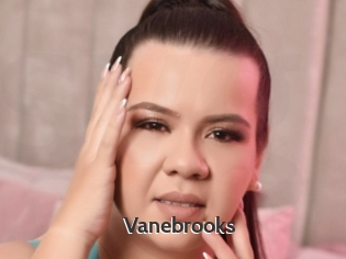 Vanebrooks