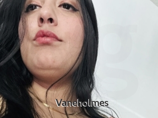 Vaneholmes