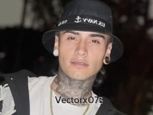 Vectorx073