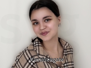 Vestatongate