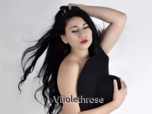 Viiolethrose