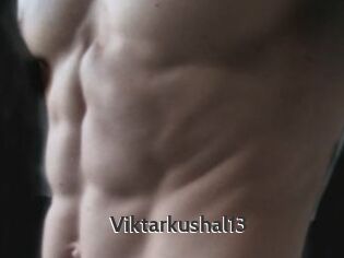 Viktarkushal13