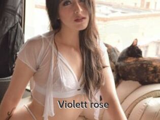 Violett_rose
