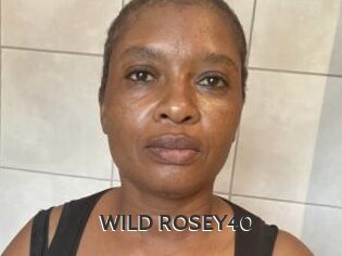 WILD_ROSEY40