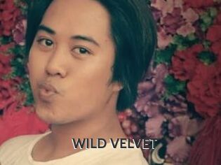WILD_VELVET