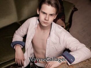 WayneGallager