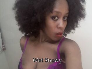 Wet_Snowy