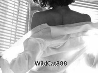 WildCat888