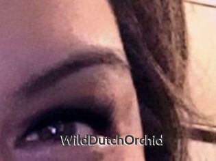 WildDutchOrchid