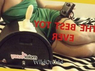 WildOrchid_