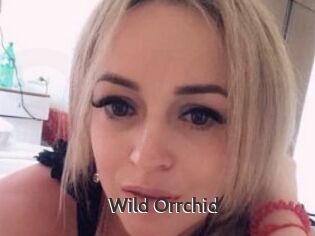 Wild_Orrchid