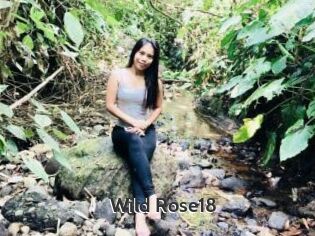 Wild_Rose18