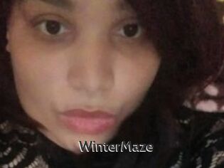 Winter_Maze