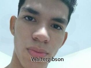 Waltergibson
