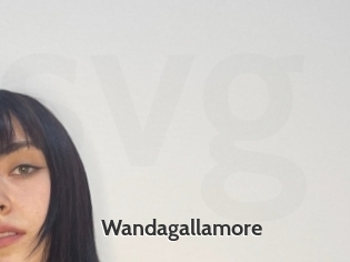 Wandagallamore